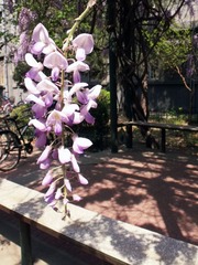 4-22 DSCF6845 0