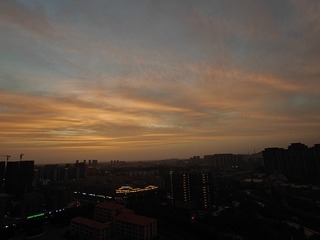 1000010157