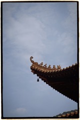 B9307735-7605-46E2-B870-0CE3635ED513/L0/001