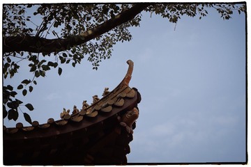 95050D64-51EA-4C0B-B0CB-C7CED4D320A8/L0/001