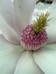 F3D9BB1C-1537-486A-A16A-678F9261CBCD/L0/001