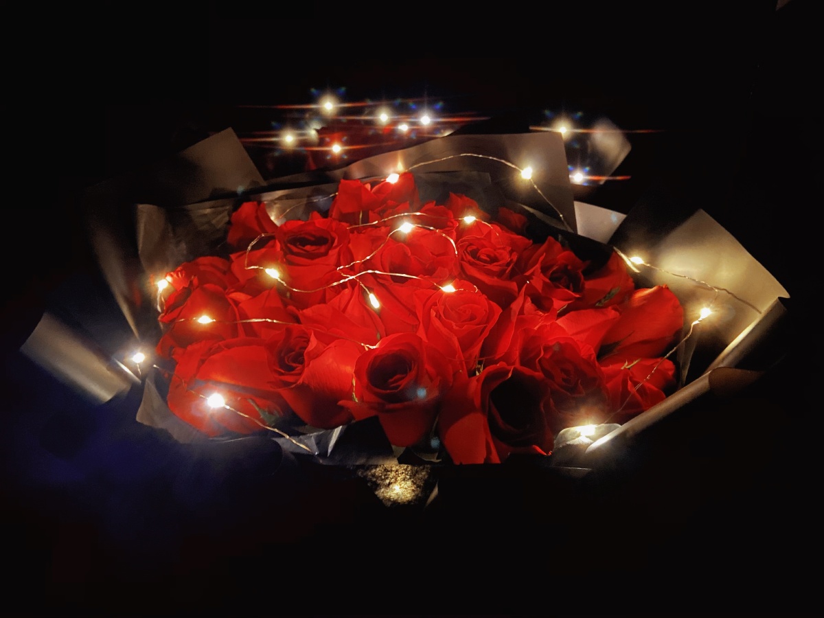 玫瑰灯光求婚鲜花浪漫