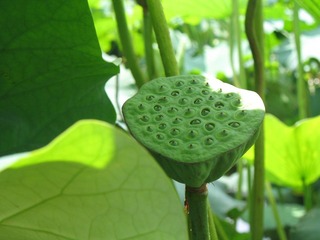 test1
