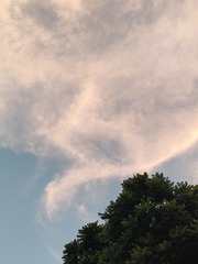 1000005756