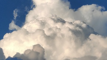 1000081568