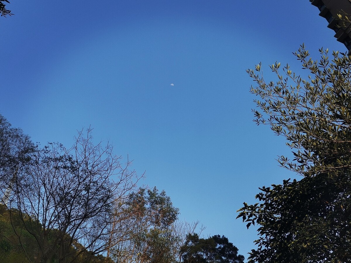 天外飞星？