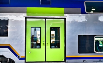 50223