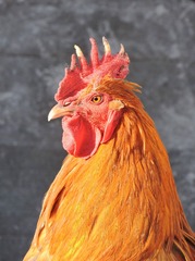 48670