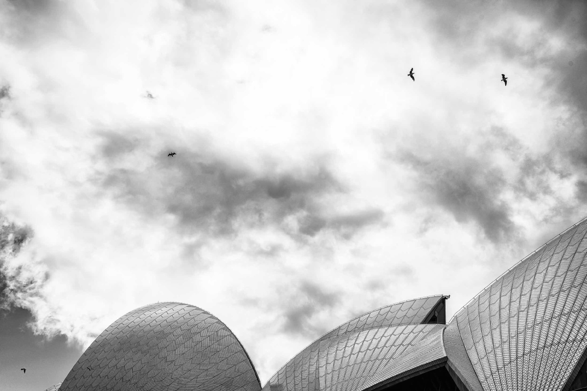 悉尼歌剧院黑白