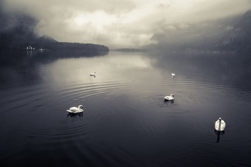 Mist Hallstatt.jpg