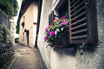 _DSC3451-1-1.jpg