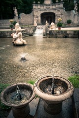 Salzburg Water garden.jpg