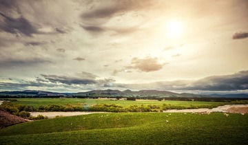 landscape of New Zealand