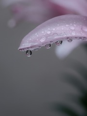 1000025216