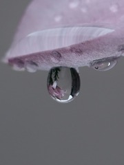 1000025218