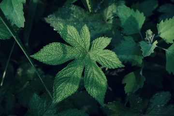 B0D6F46C-6A88-4393-84B4-6F048F48AFE7/L0/001