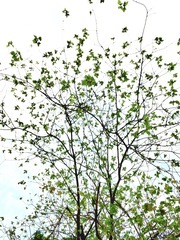6473D041-1C72-4B08-892A-CC0F926229DD/L0/001