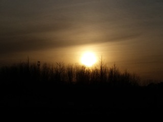 504068