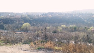 505693