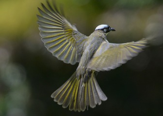 A0255C2E-0750-49EF-9067-A94809ED9942/L0/001