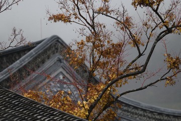 363F3F9D-5758-4AB2-B0B2-537D81A512A2/L0/001