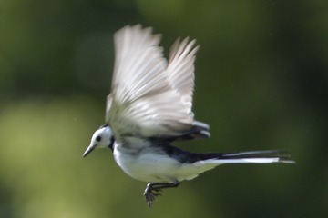 A7B9DF44-000A-45CF-AEC2-FA561AFEBCAB/L0/001
