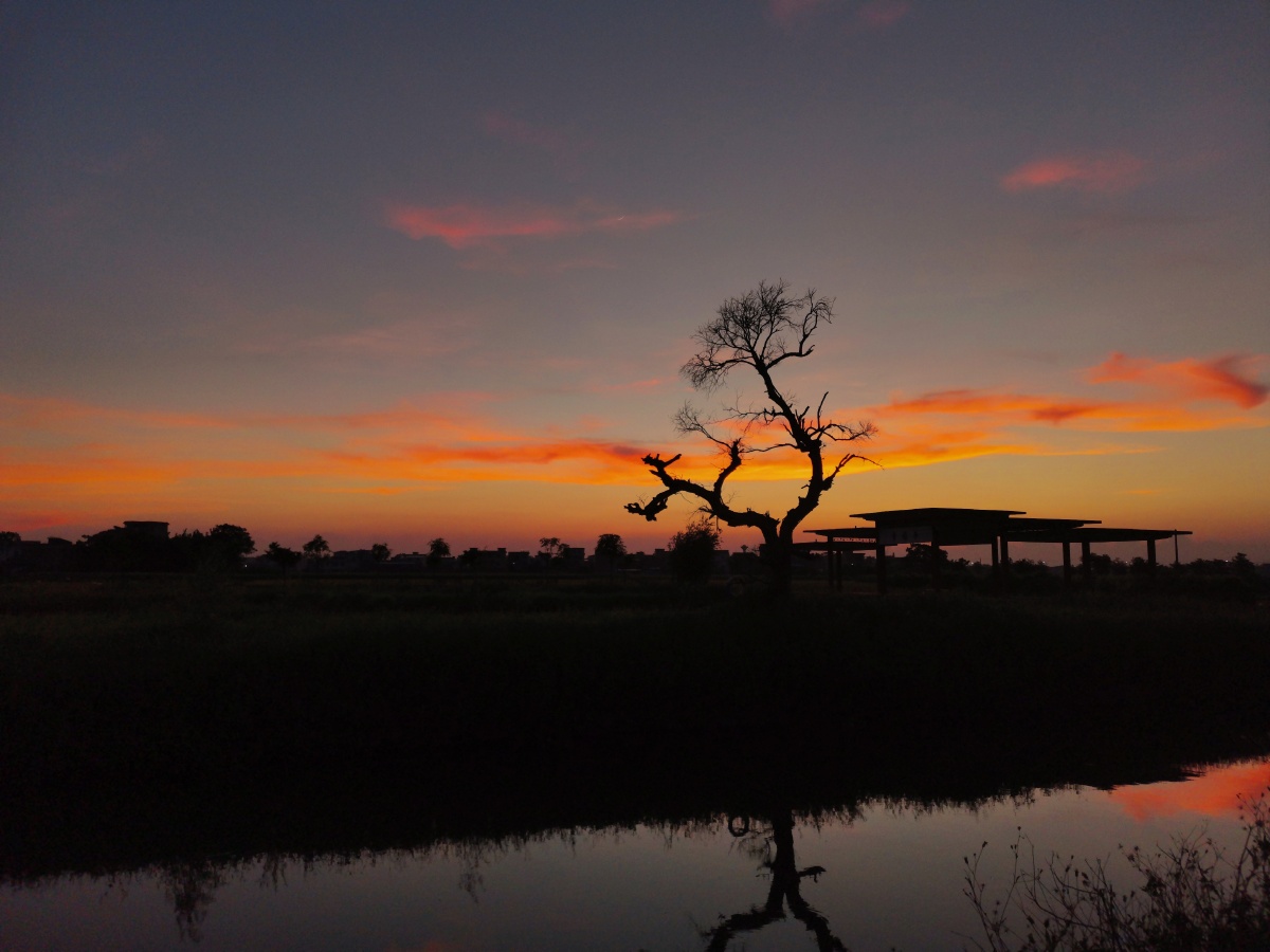 暮里的晚风夹着晚霞的光,留下来的是微醺草香.