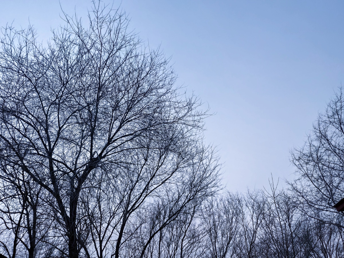 无边落木萧萧下