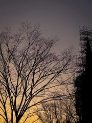 3F098C8F-1FD9-47BE-B364-C7AE4C503EFC/L0/001