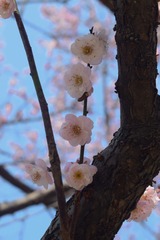 59972805-0A1E-4D0D-AAE9-E596D0370AD1/L0/001