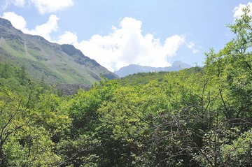 HHB_9051