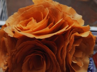 2500916