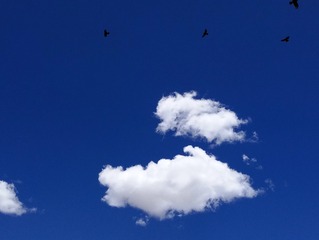 BA41E40C-1ABA-4ED8-99E8-4BEC5304E9F1/L0/001