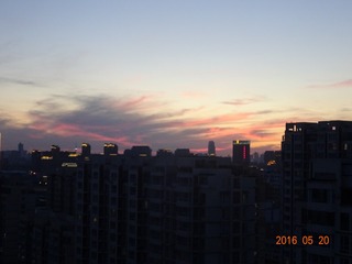 1310299