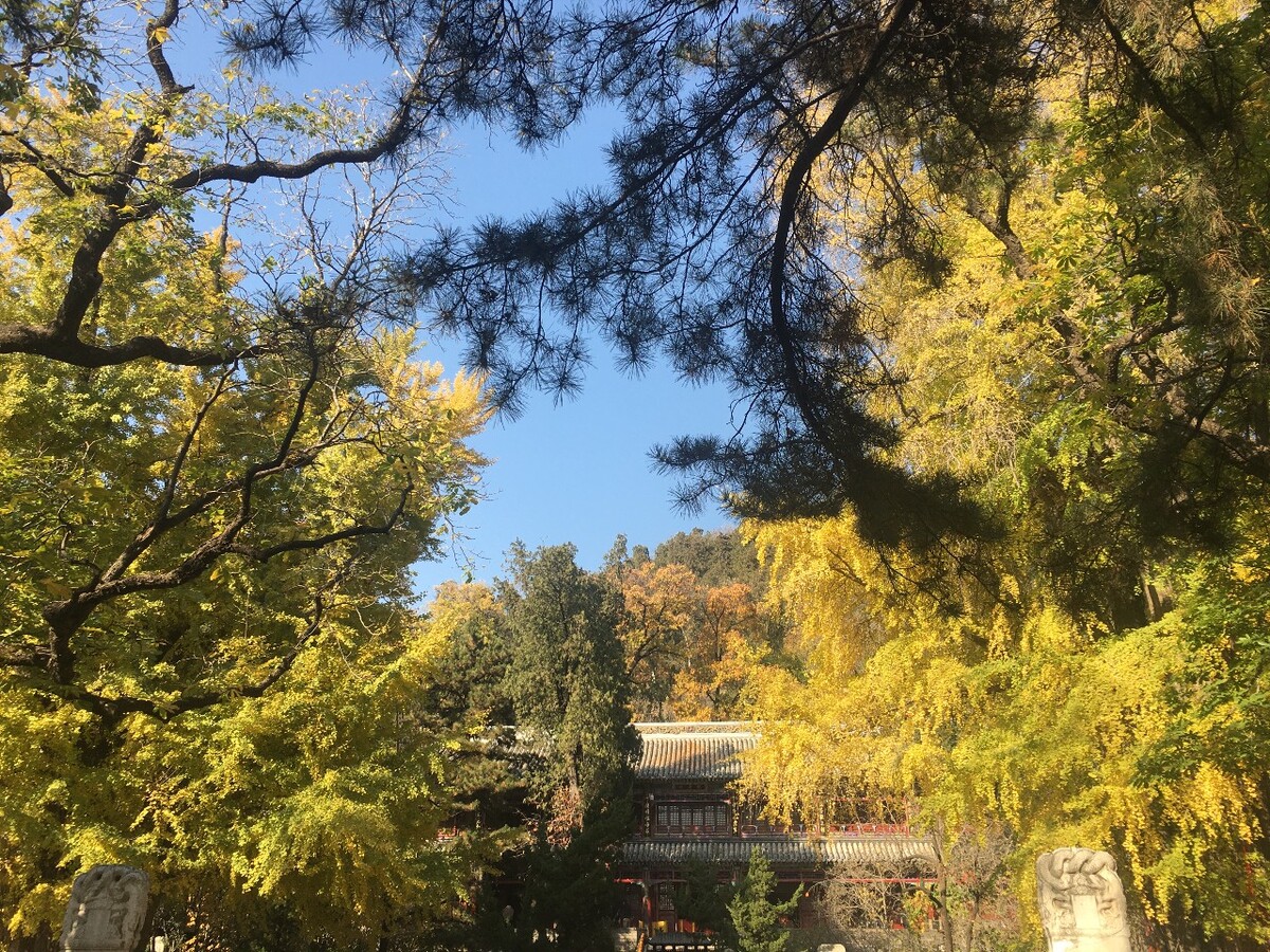 岁月静好