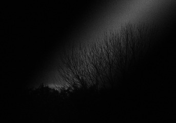 F8544559-92F6-45B5-A6E4-38B034494247/L0/001