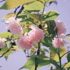 99842571-0F6E-40A9-924F-C981391E4A10/L0/001