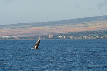 aDSC09419