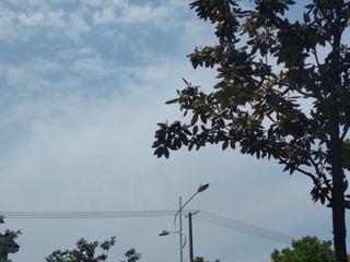 466475