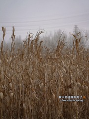 8323BB89-45DF-4203-9EBC-F1689A644DF7/L0/001
