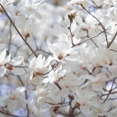 C775985C-A770-4012-A3A4-0FBFEC0550F3/L0/001