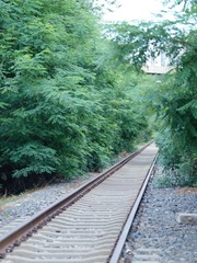 D1980B83-F026-4A8C-874C-DCA96904C67B/L0/001
