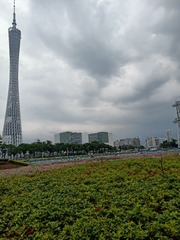 2627031