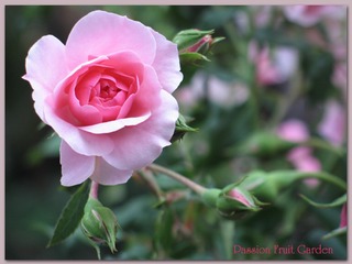 img_6147-