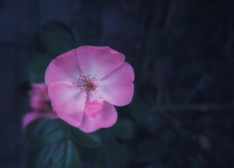 017DC979-A0CA-4629-9F53-09612BA81754/L0/001