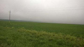 2900