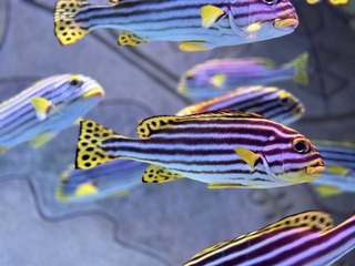 3D668F6B-7EFE-4A64-BDB7-E6E5D9875033/L0/001