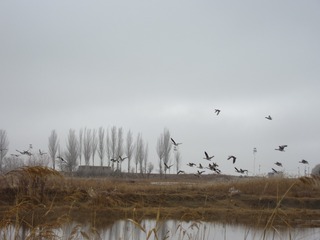 6DD78876-7EDE-46DF-BC63-89422E37BB72/L0/001