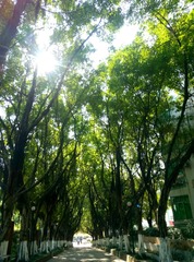 6F30BCC4-FDB8-4818-AA03-2F4638FBA09B/L0/001