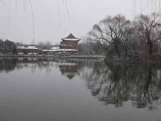 西安的兴庆宫公园(1)